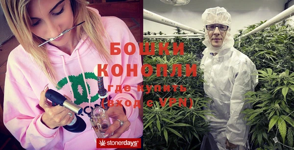 хмурый Лиски
